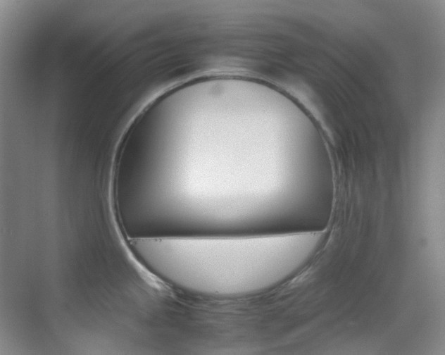 X0000070251245200606020950