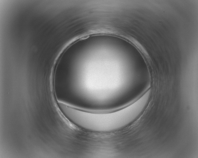 X0000070251246200606020950
