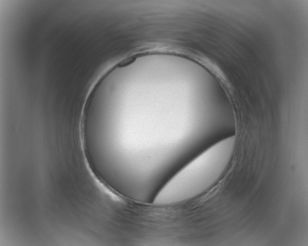 X0000070251247200606020950