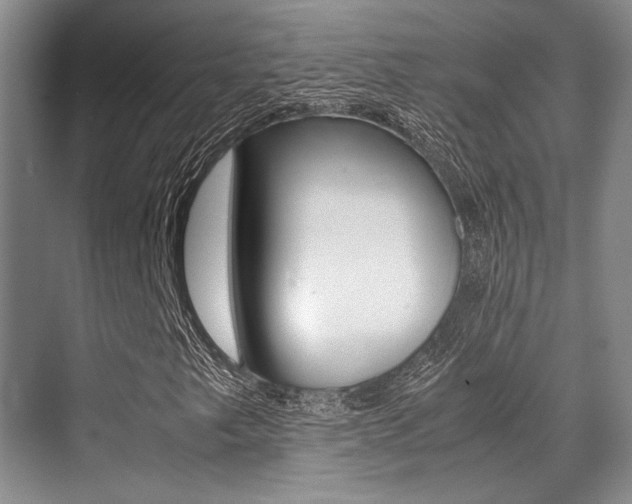 X0000070251249200606020949