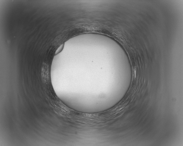 X0000070251251200606020949
