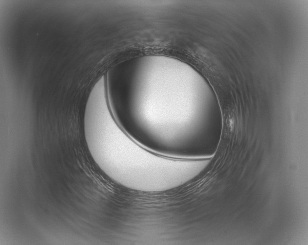 X0000070251252200606020949
