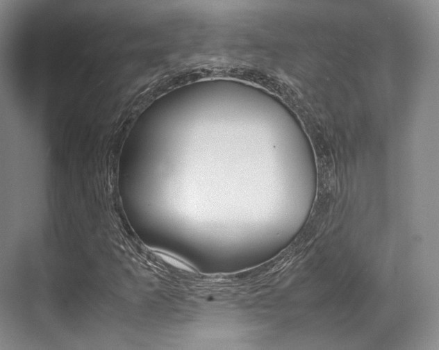 X0000070251253200606020949
