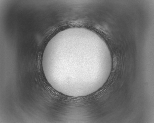 X0000070251254200606020949