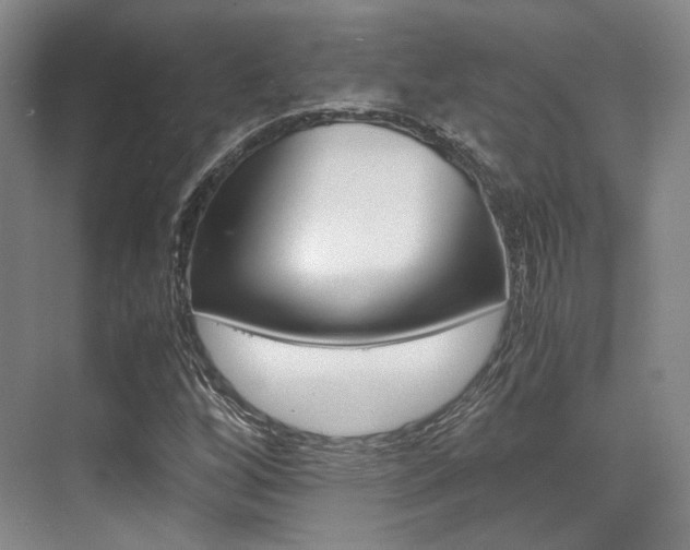 X0000070251256200606020949
