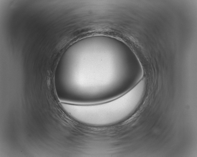 X0000070251257200606020949