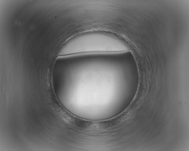 X0000070251265200606020949