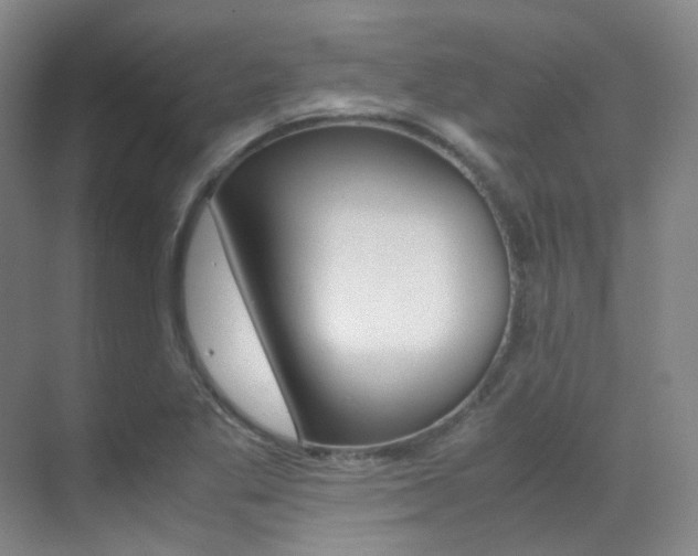 X0000070251269200606020949