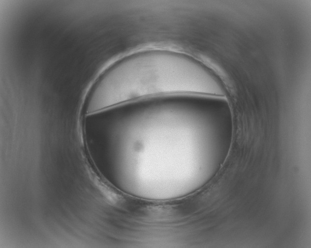 X0000070251272200606020949