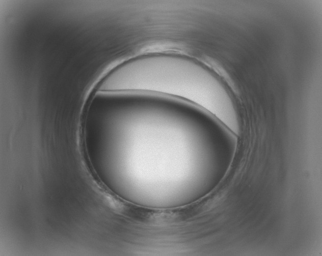 X0000070251277200606020949