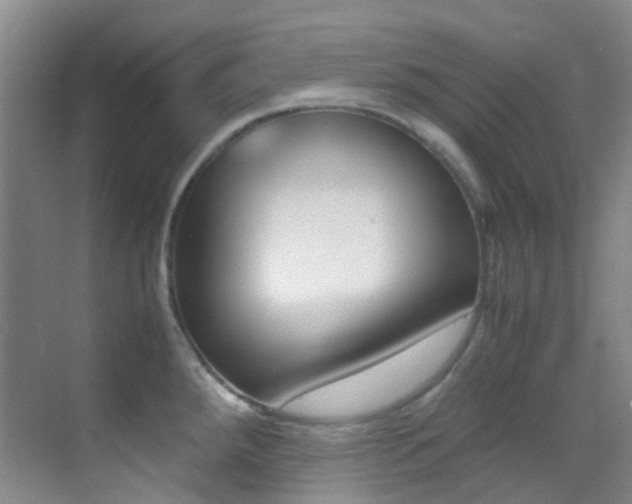 X0000070251288200606020949