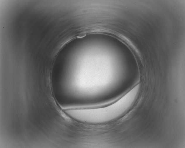 X0000070251289200606020949
