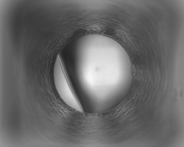 X0000070251297200606020948