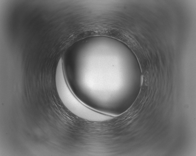 X0000070251298200606020948