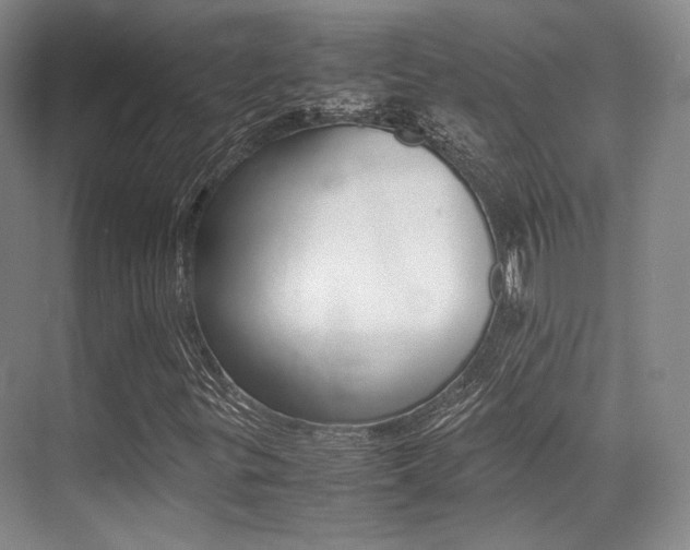 X0000070251299200606020948