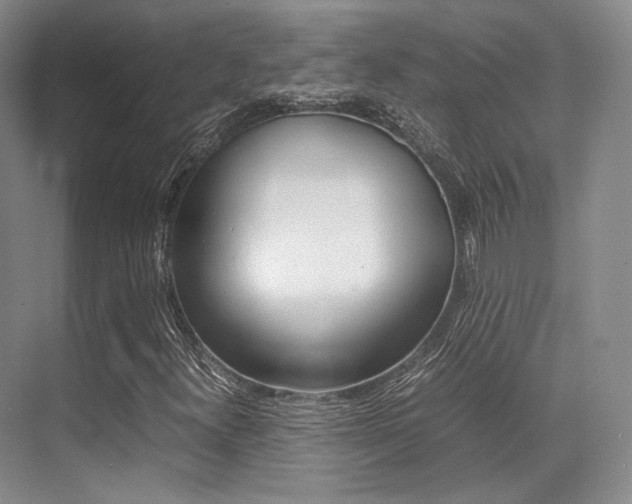X0000070251300200606020948