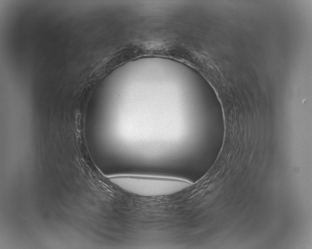 X0000070251301200606020948