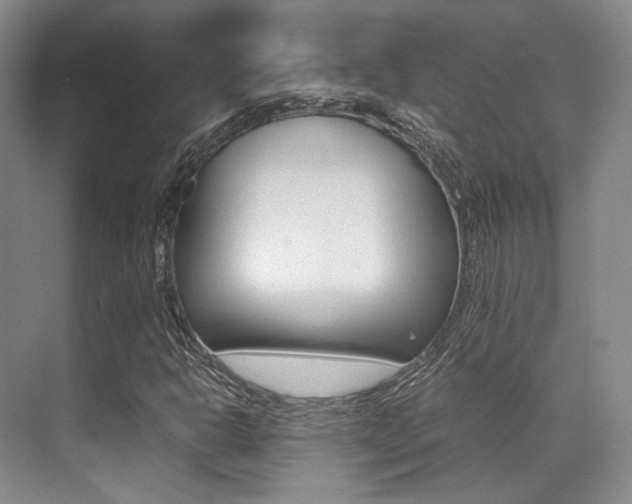 X0000070251302200606020948