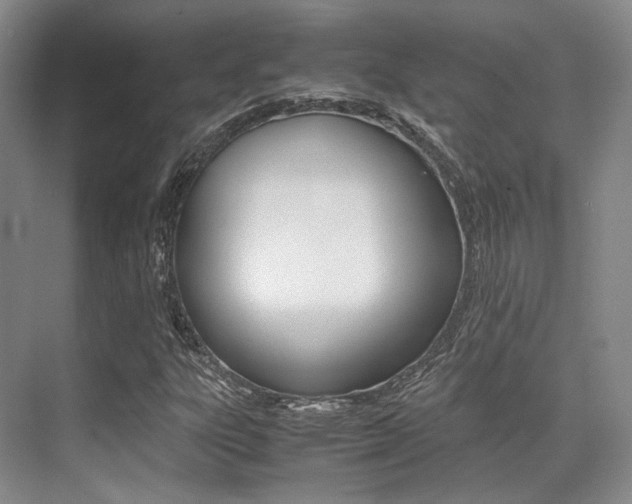 X0000070251303200606020948