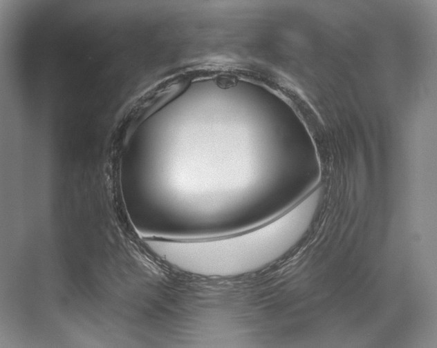 X0000070251304200606020948