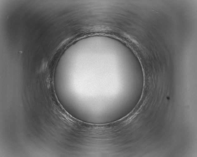 X0000070251306200606020948