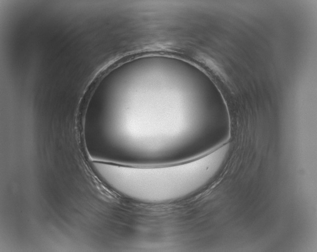 X0000070251308200606020948