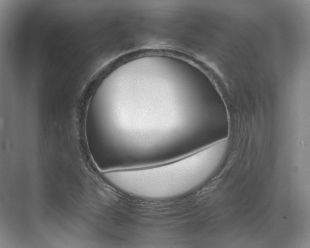 X0000070251311200606020948