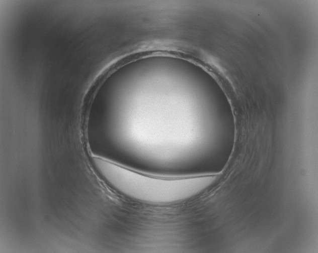 X0000070251312200606020948