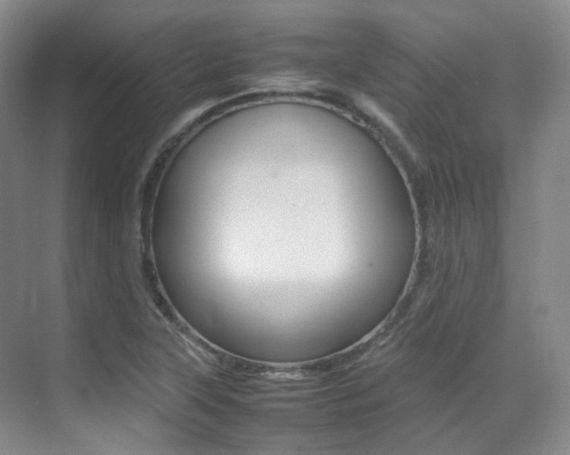 X0000070251315200606020948