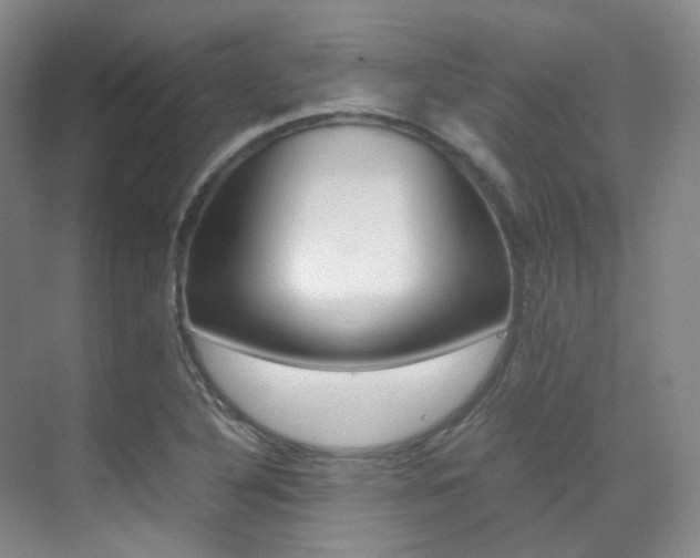 X0000070251316200606020948