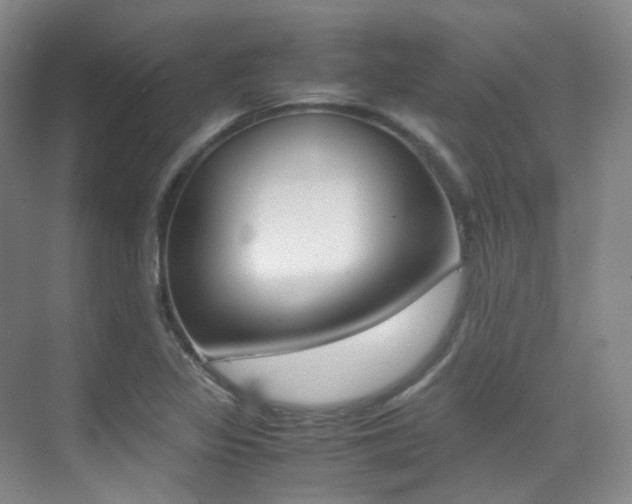X0000070251317200606020948