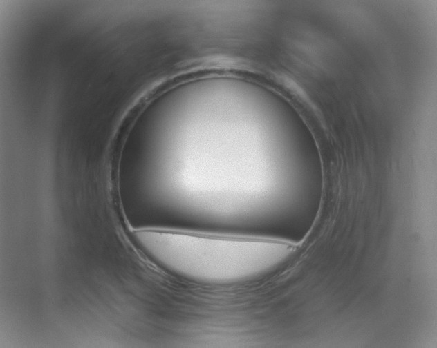 X0000070251318200606020948