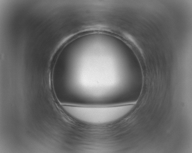 X0000070251320200606020948