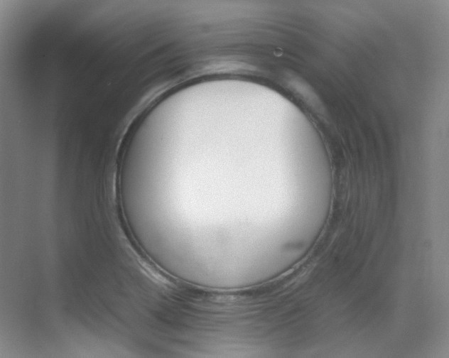 X0000070251322200606020948