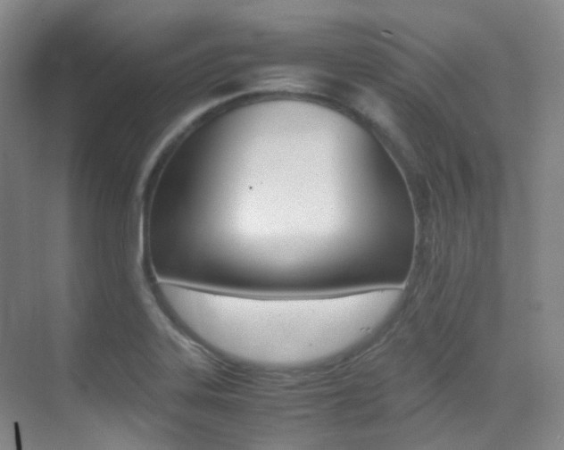X0000070251323200606020948