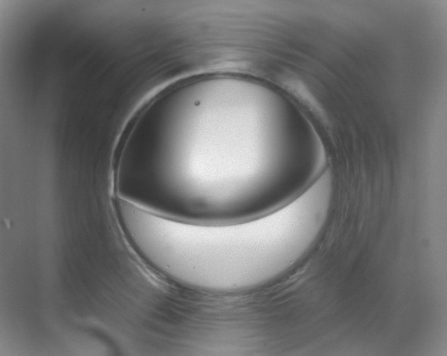 X0000070251324200606020948