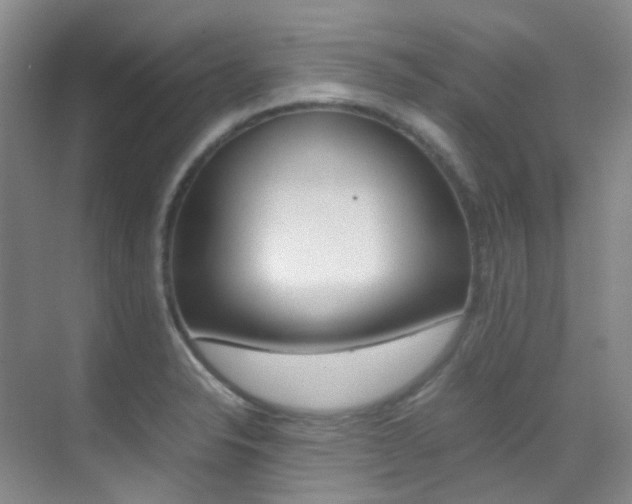 X0000070251326200606020948
