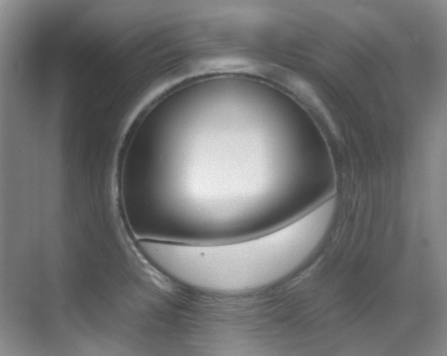 X0000070251328200606020948
