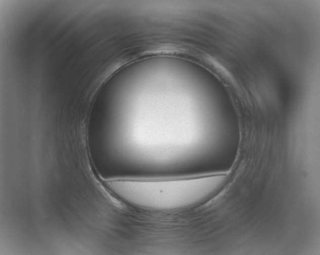 X0000070251329200606020948