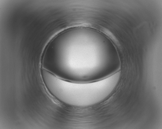 X0000070251332200606020948