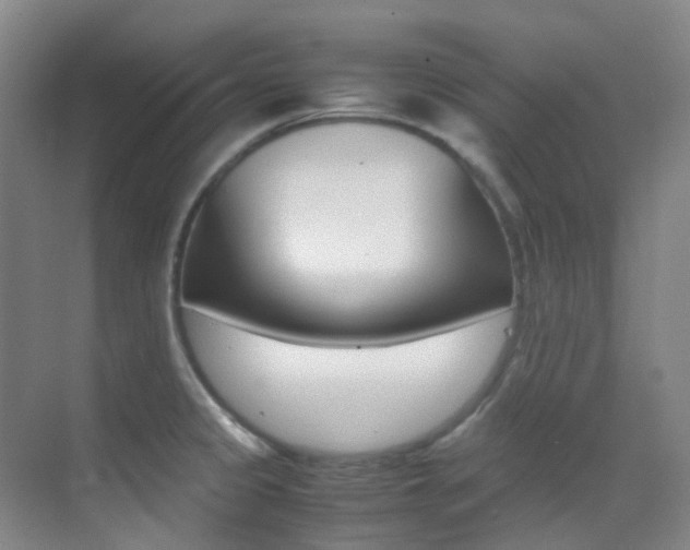 X0000070251333200606020948