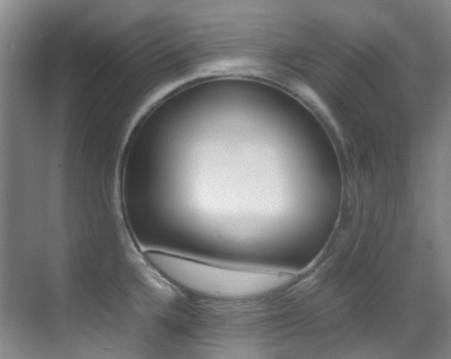 X0000070251336200606020949