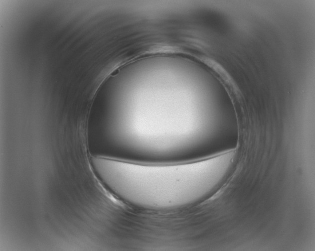 X0000070251337200606020949