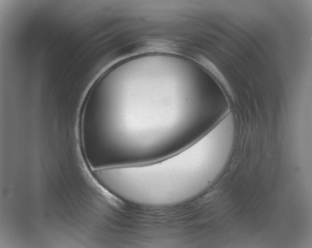 X0000070251339200606020949