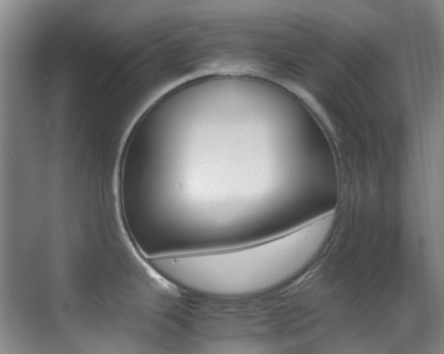 X0000070251343200606020949