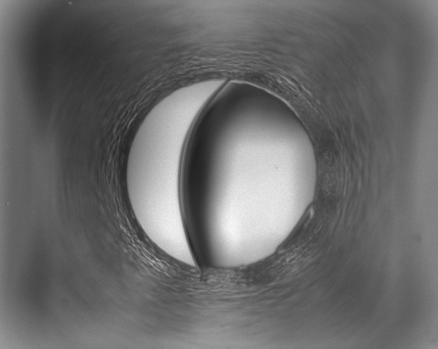 X0000070251345200606020948
