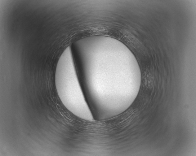 X0000070251346200606020948