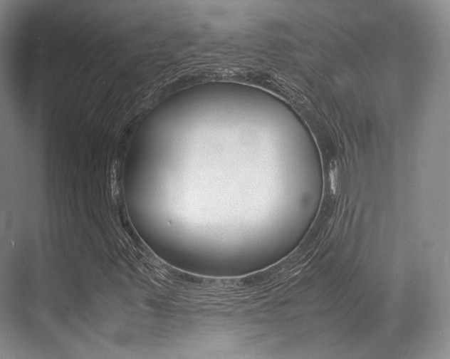 X0000070251347200606020948