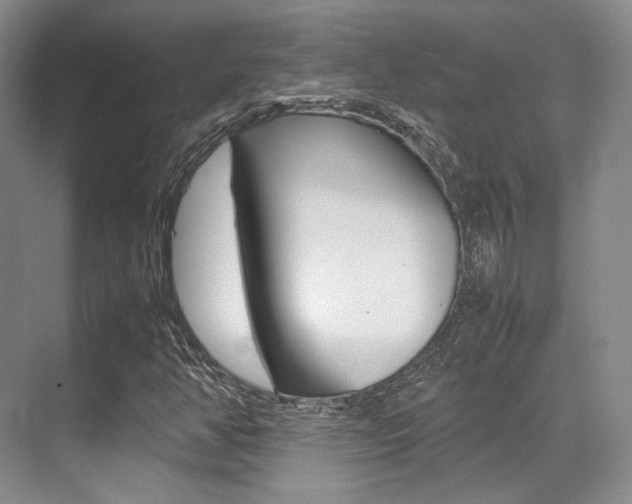 X0000070251350200606020948