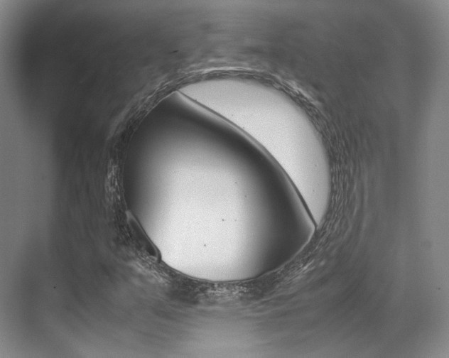 X0000070251351200606020948